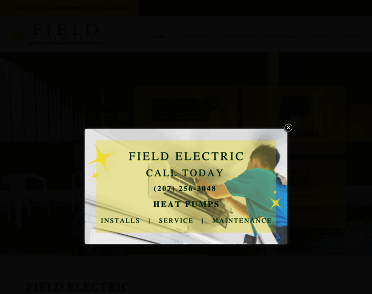 Fieldelectriconline.com thumbnail