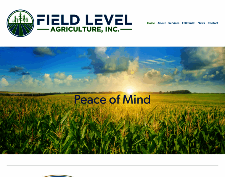 Fieldlevelag.com thumbnail