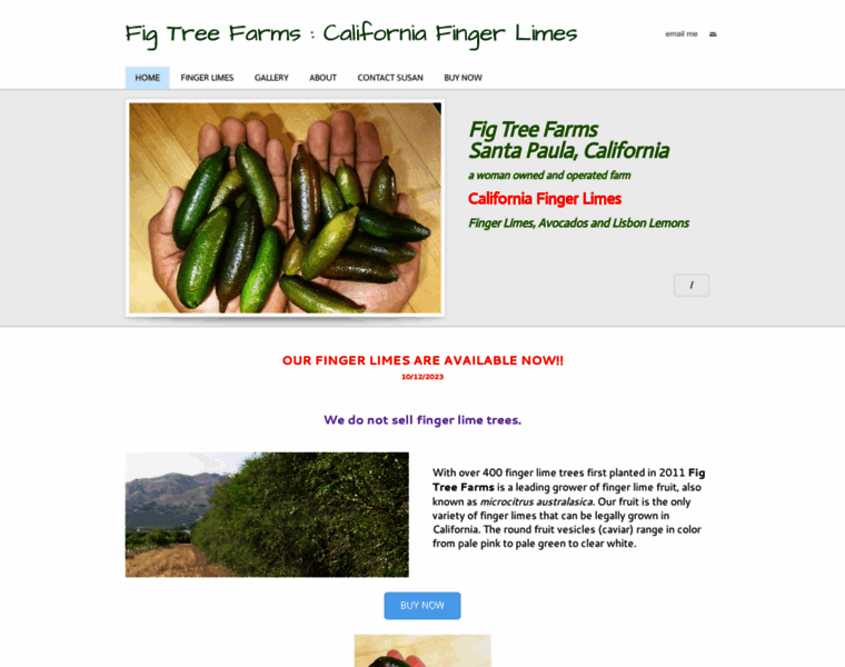 Fig-tree-farms.com thumbnail