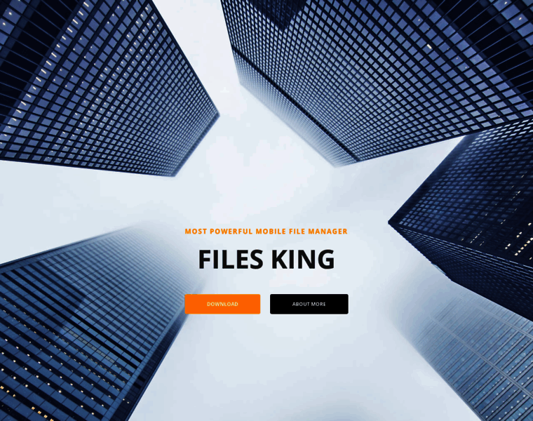 Files-king.com thumbnail