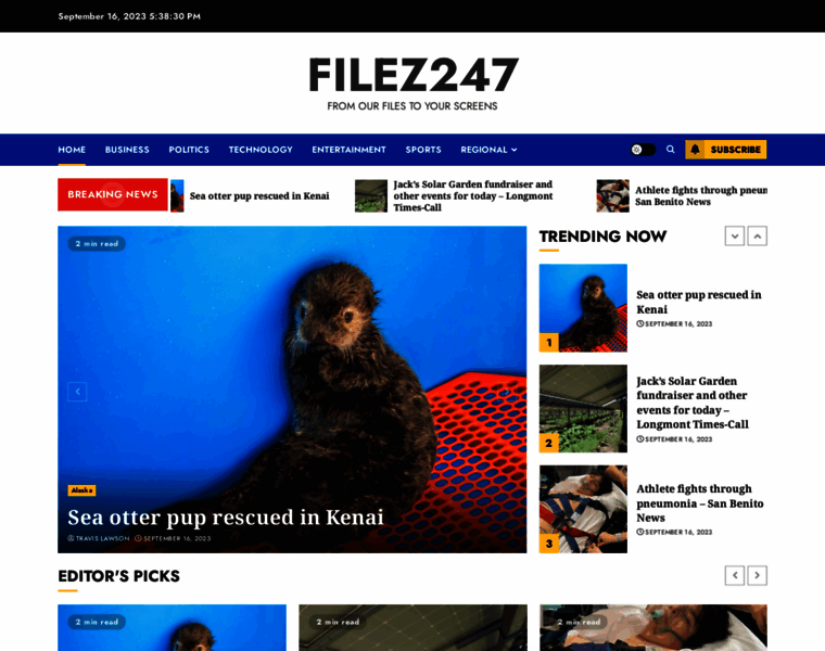 Filez247.com thumbnail
