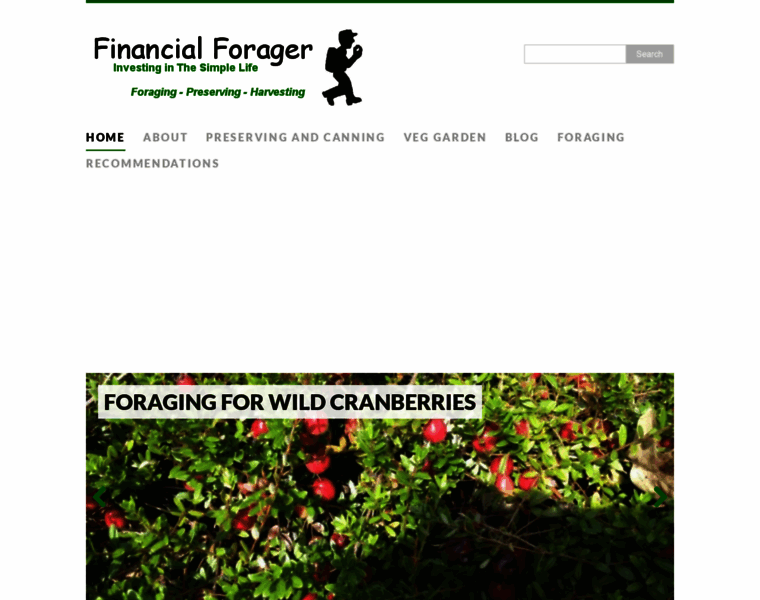 Financialforager.com thumbnail
