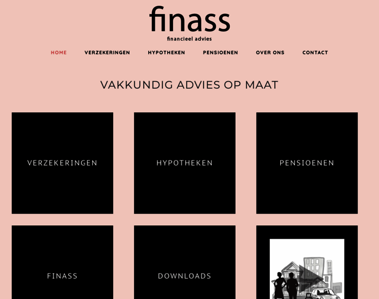 Finass.nl thumbnail