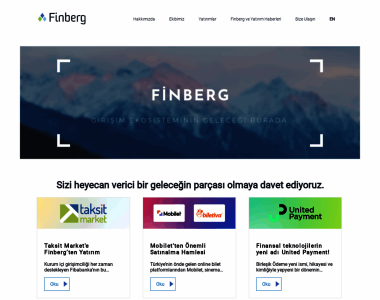 Finberg.com.tr thumbnail