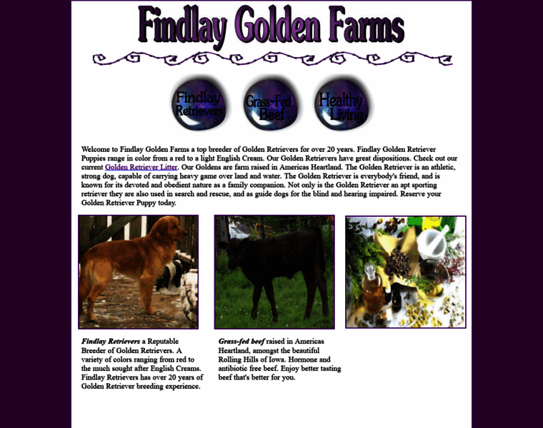 Findlaygoldenfarms.com thumbnail