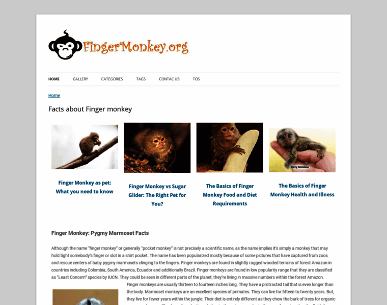 Fingermonkey.org thumbnail Fingermonkey.org thumbnail