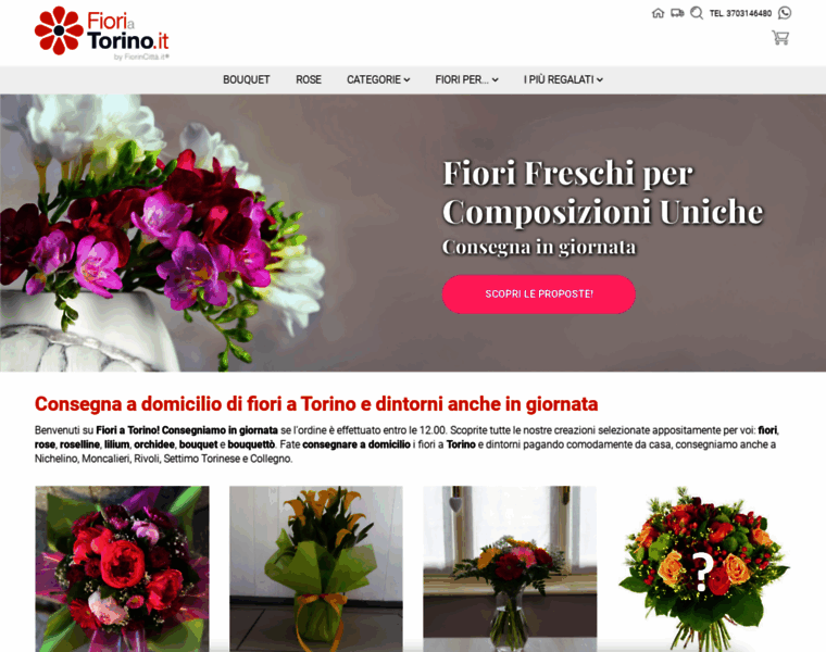 Fioriatorino.it thumbnail