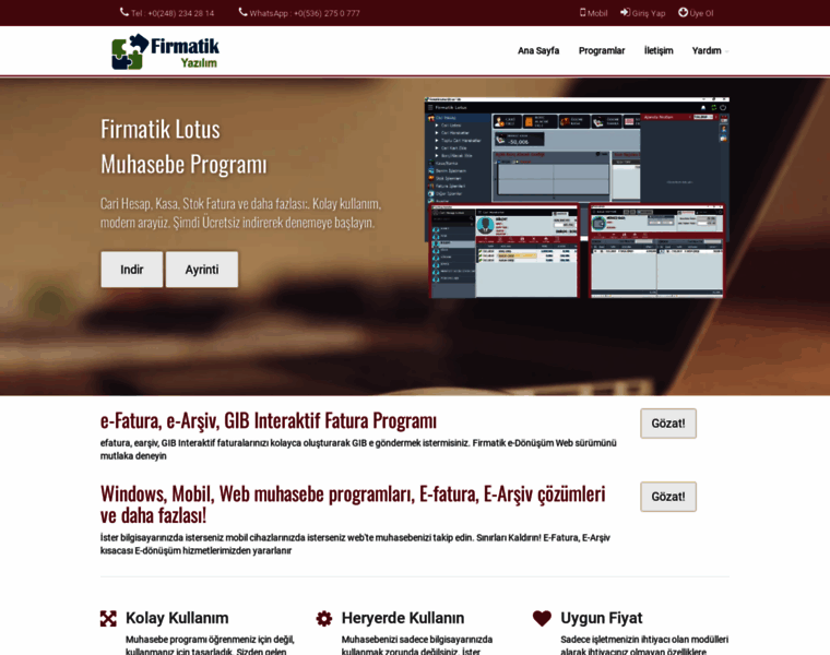 Firmatik.com thumbnail