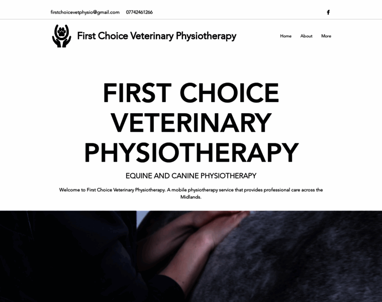 Firstchoicevetphysio.co.uk thumbnail