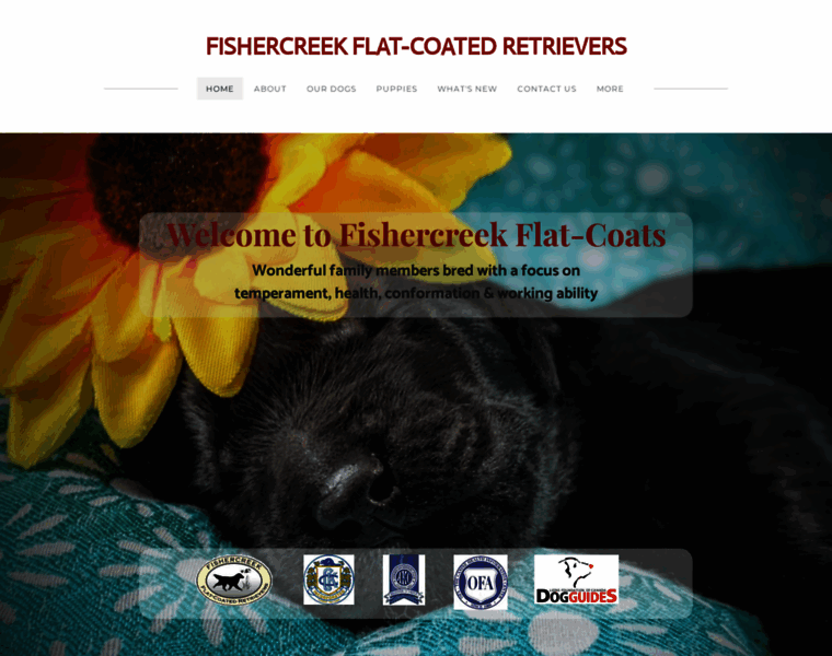Fishercreekflatcoats.com thumbnail