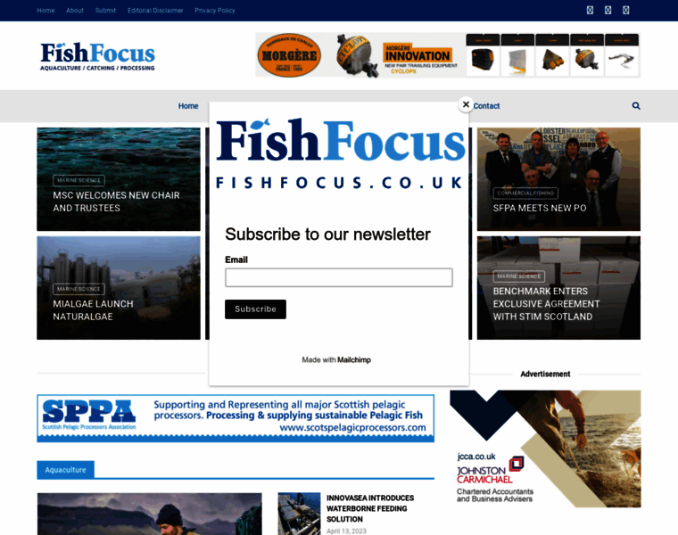 Fishfocus.co.uk thumbnail