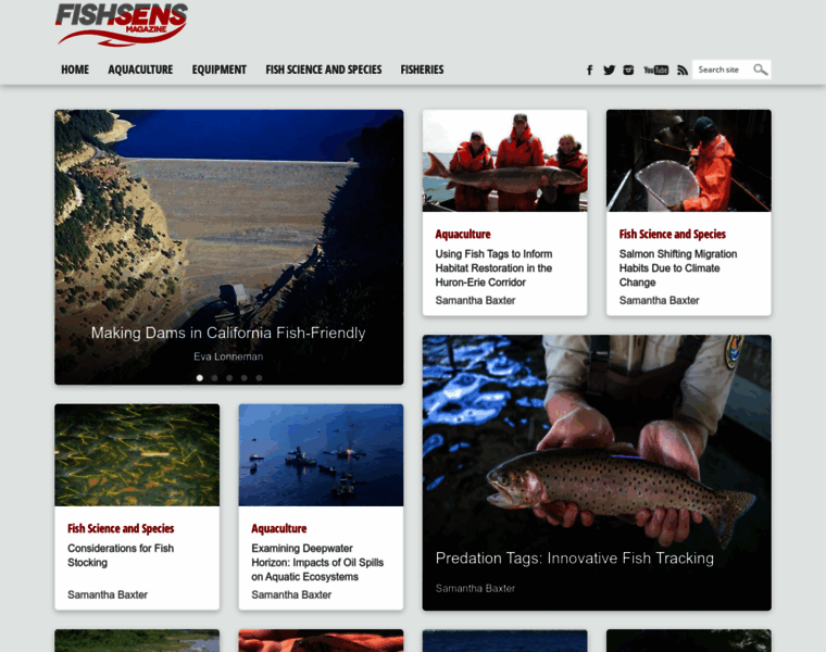 Fishsens.com thumbnail Fishsens.com thumbnail