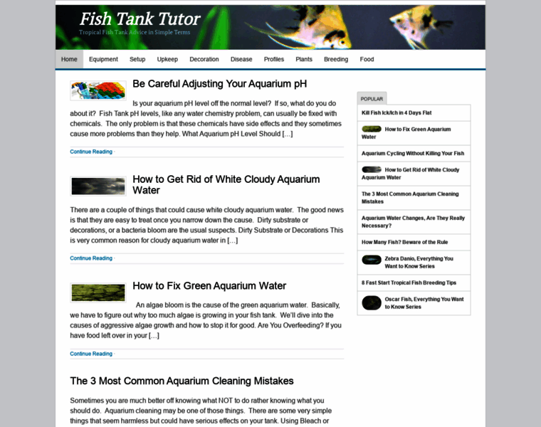 Fishtanktutor.com thumbnail