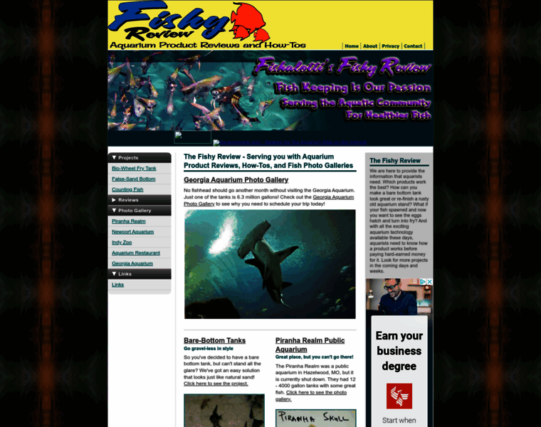 Fishyreview.com thumbnail