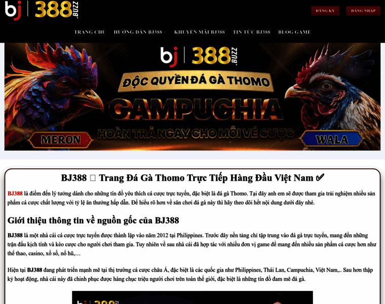 Five88.guide thumbnail