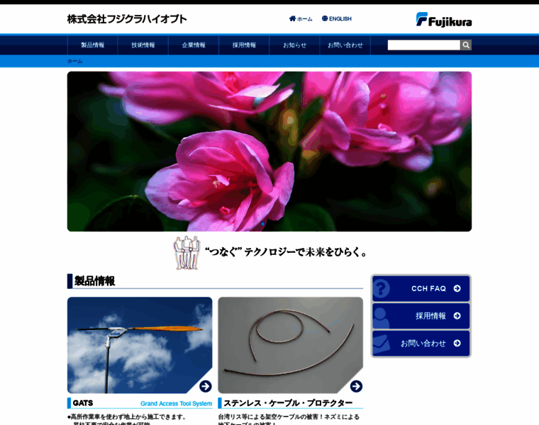 Fjk-hiopt.jp thumbnail