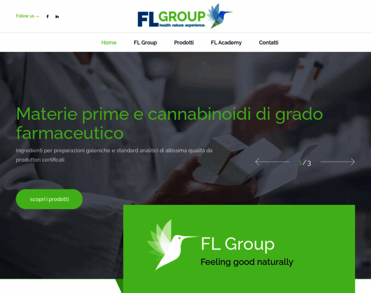 Fl-group.it thumbnail