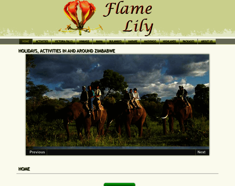 Flamelily.co.za thumbnail