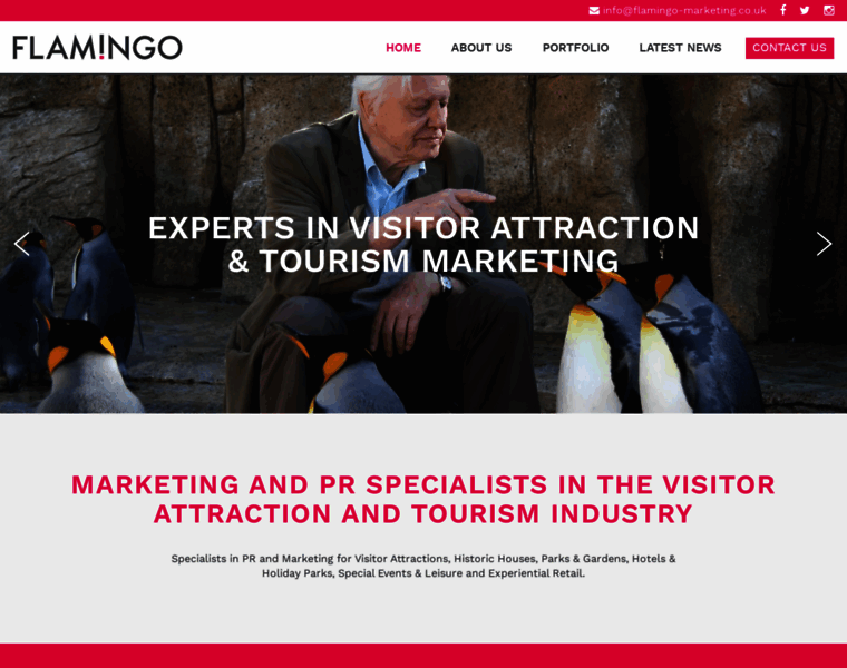 Flamingo-marketing.co.uk thumbnail