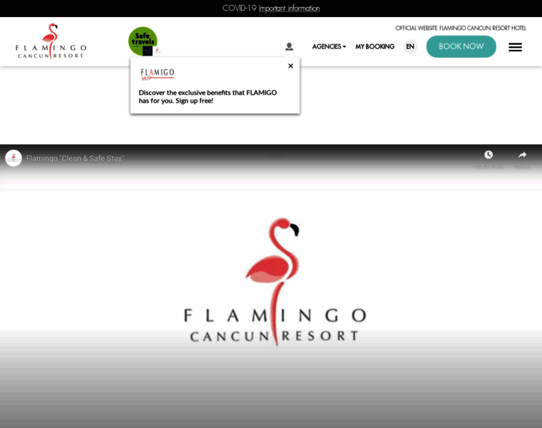 Flamingocancun.com thumbnail