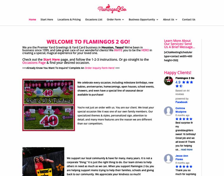 Flamingos2go.com thumbnail