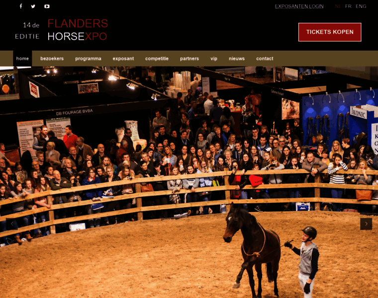 Flanders-horse-expo.be thumbnail