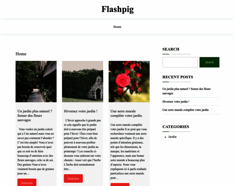 Flashpig.fr thumbnail