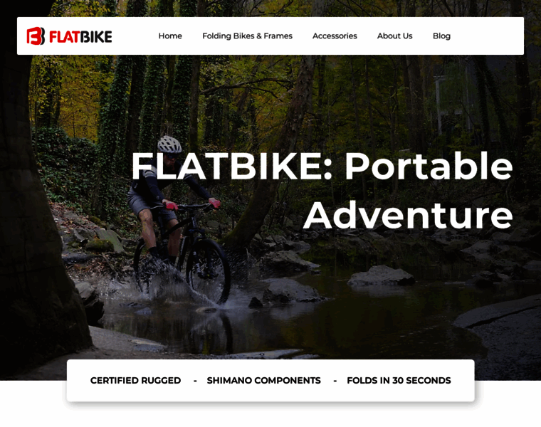 Flatbike.com thumbnail