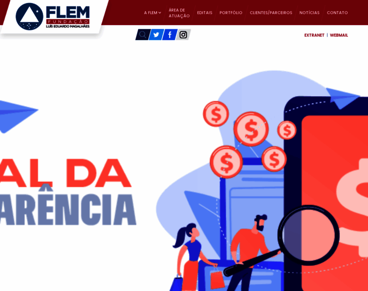 Flem.org.br thumbnail