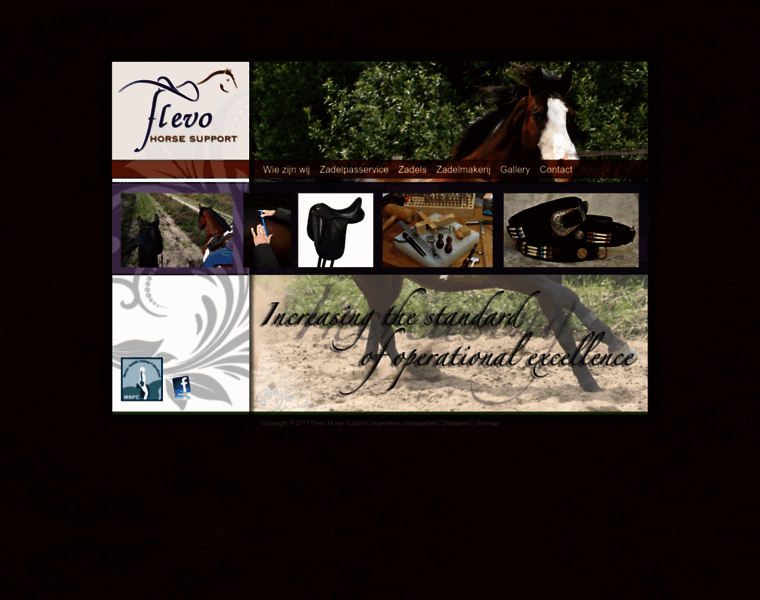 Flevohorsesupport.nl thumbnail