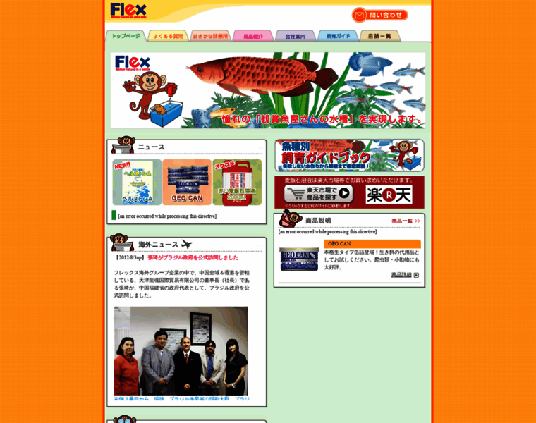 Flex-web.com thumbnail