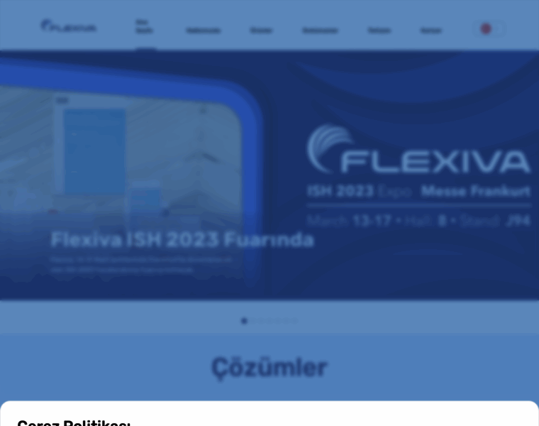 Flexiva.com.tr thumbnail