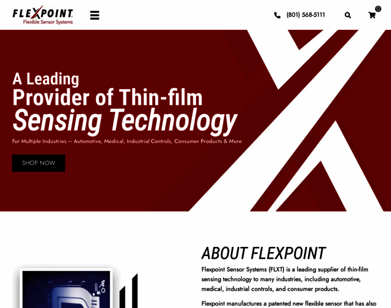 Flexpoint.com thumbnail