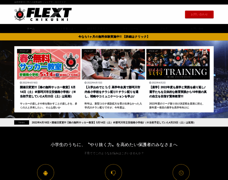 Flext-coach-academy.com thumbnail