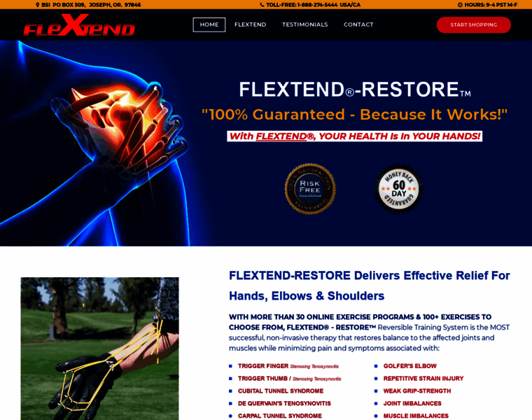 Flextend.com thumbnail