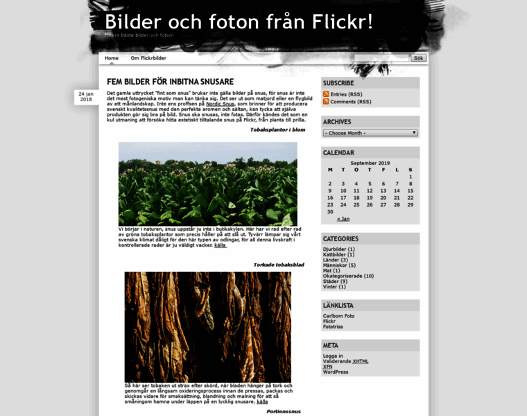 Flickrbilder.se thumbnail