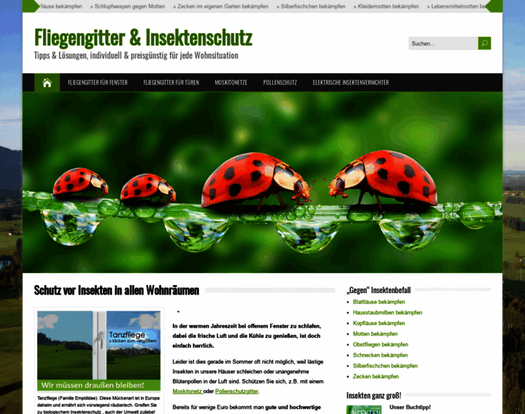 Fliegengitter-und-insektenschutz.de thumbnail