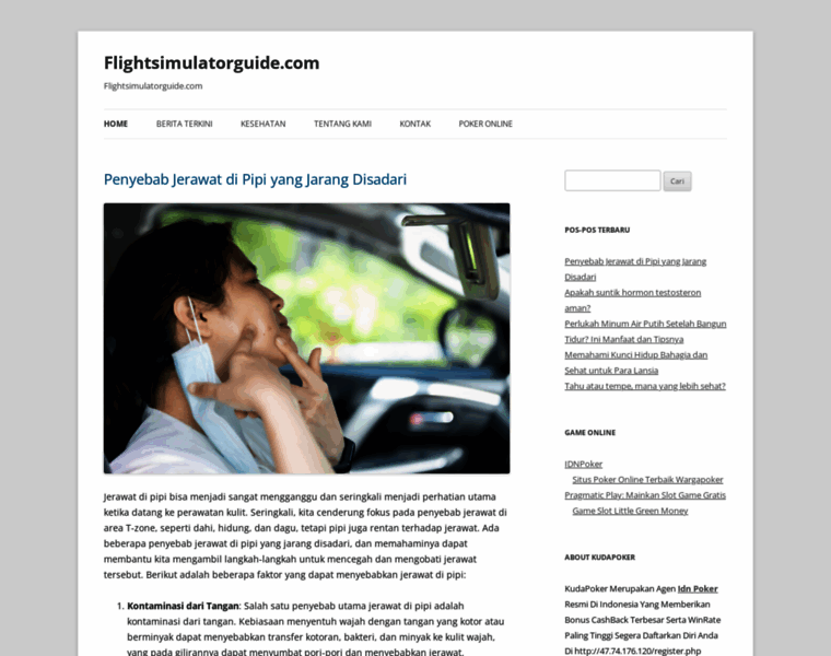 Flightsimulatorguide.com thumbnail