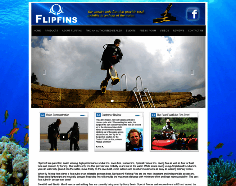 Flipfins.com thumbnail