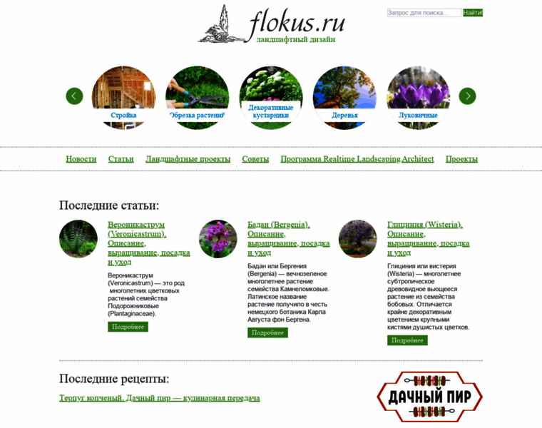 Flokus.ru thumbnail