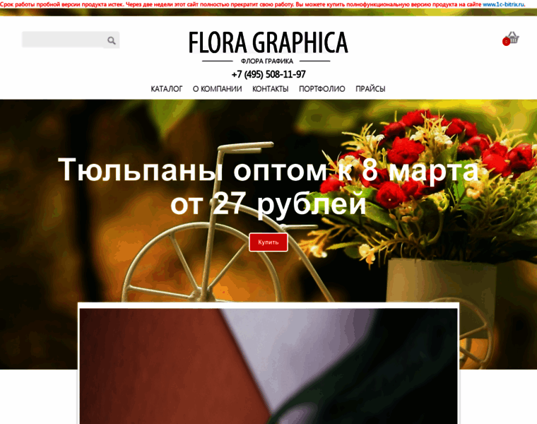 Floragraphica.ru thumbnail
