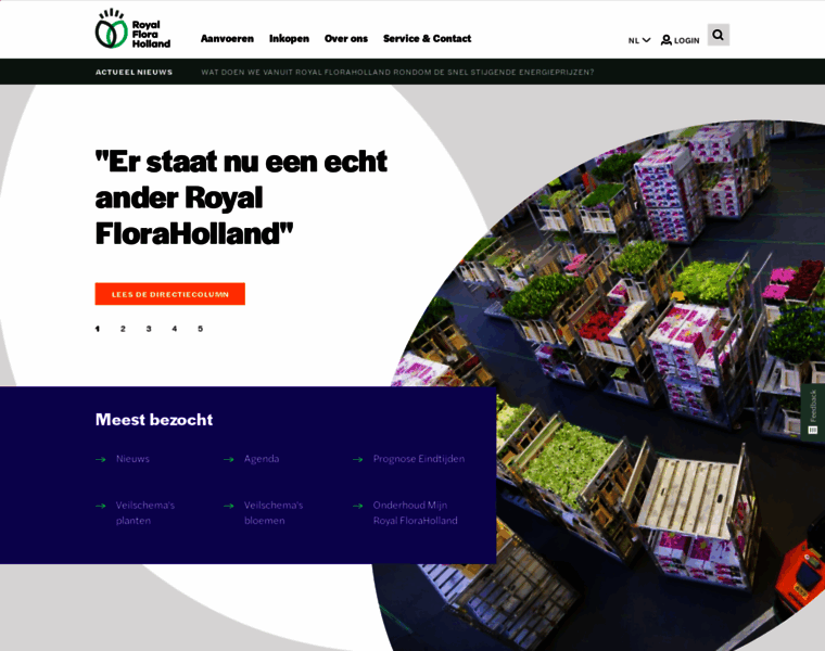 Floraholland.nl thumbnail
