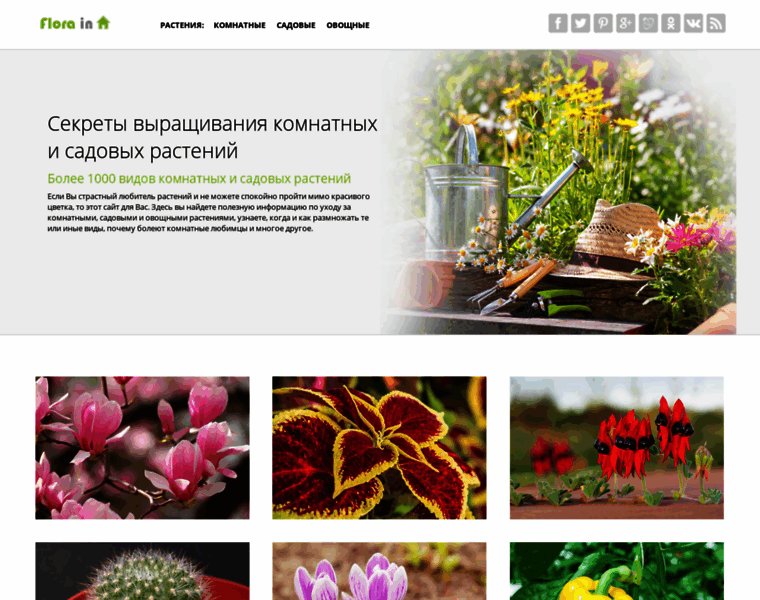 Florainhouse.ru thumbnail