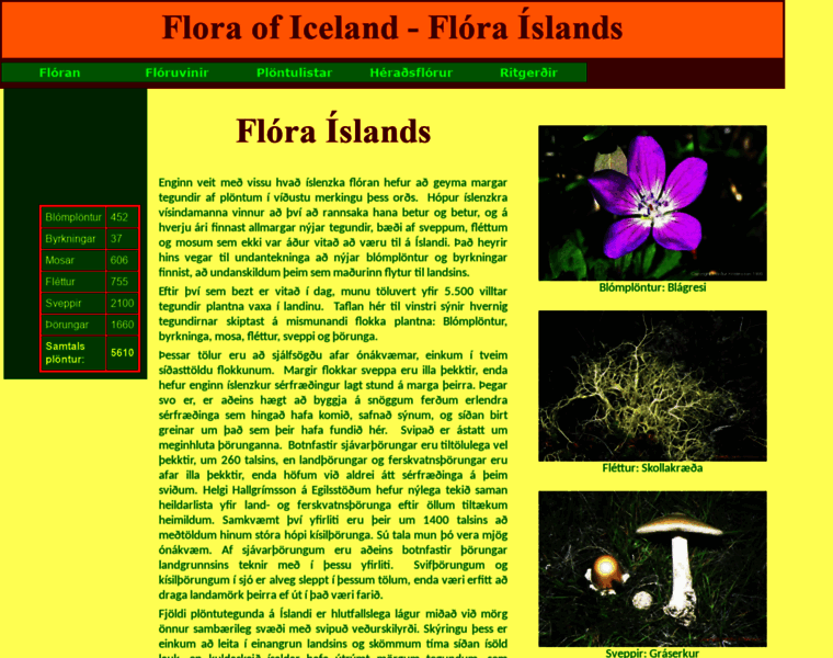 Floraislands.is thumbnail