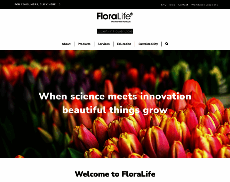 Floralife.com thumbnail