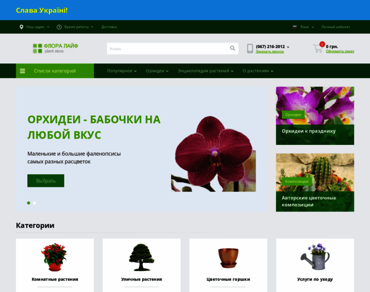 Floralife.com.ua thumbnail
