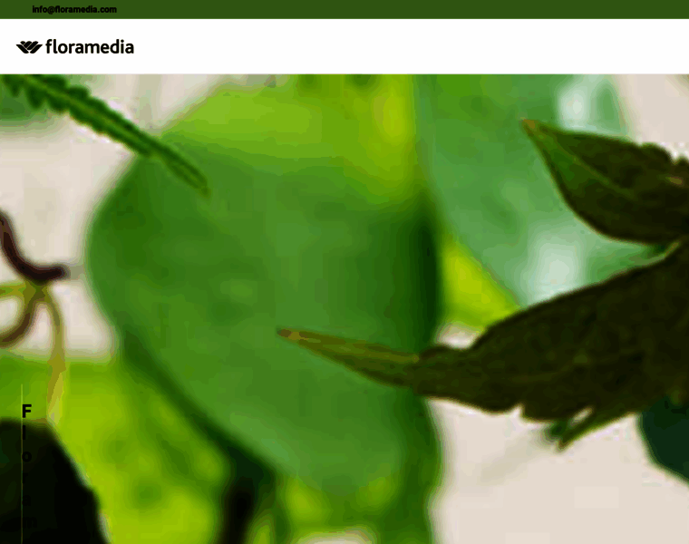 Floramedia.org thumbnail