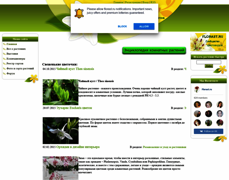 Florast.ru thumbnail