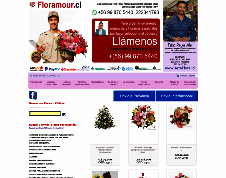 Floreriafloramour.cl thumbnail