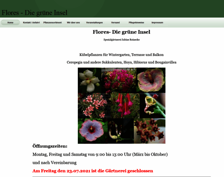 Flores-reinecke.de thumbnail